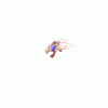 Walk.gif Walk.gif