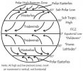 adeckskills.tripod.com_sitebuildercontent_sitebuilderpictures_global_wind_diagram.jpg