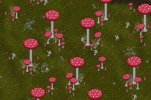 Red Mushrooms.jpg