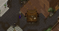 weight1.gif