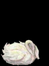 ballerina8.png