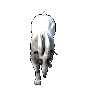 KR ridable goat.gif