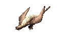 KR_wyvern_downscaled.gif
