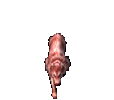 Ridable EC bake-kitsune.gif