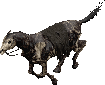 Conan_Exiles_undead_horse_L.gif
