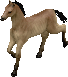 Conan_Exiles_horse_foal_mount_L.gif