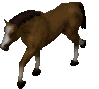 NWN2_palomino_horse_L.gif
