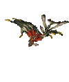 WoW_dragonhawk_VIII_H.gif