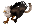 Bless Unleashed griffon II.gif