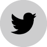 acdn_images.mailchimp.com_icons_social_block_v2_gray_twitter_96.png