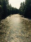 river down.JPG river down.JPG