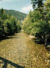 River up.JPG River up.JPG
