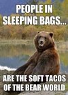 ajokideo.com_wp_content_uploads_meme_2014_05_People_in_sleeping_bags___bear_meme.jpg