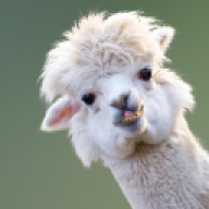 ajhammy