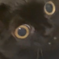 Leschar